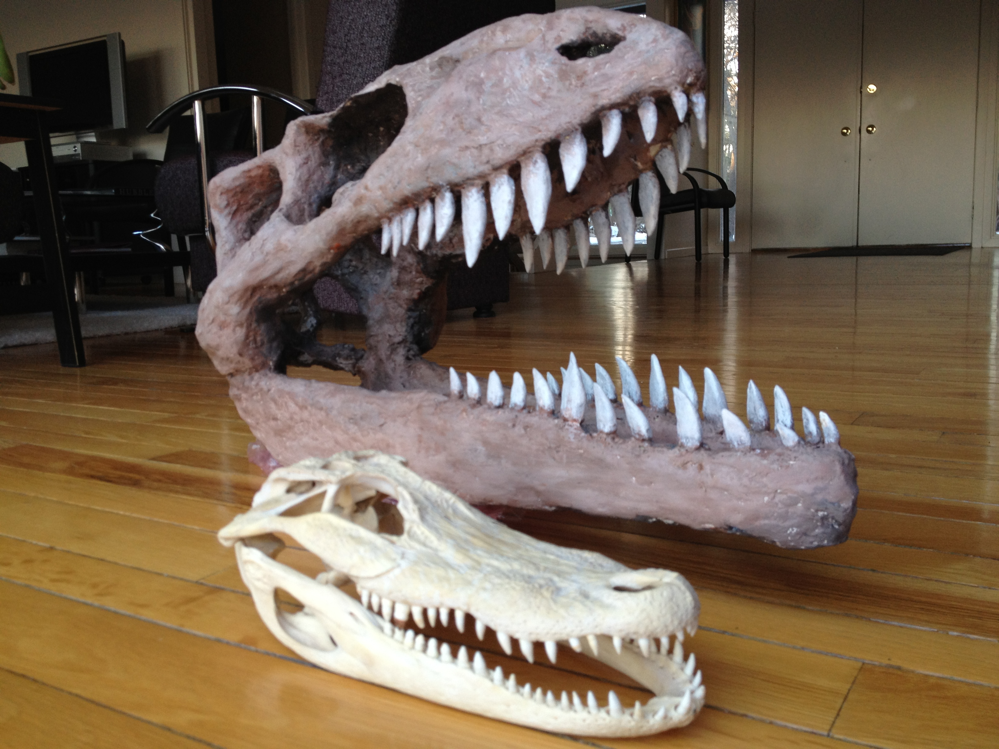 How to Make a Giant Dinosaur Skull For Free Instructions Tumblehome Learning Science